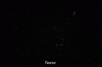 Photograph of the constellation Taurus, the Bull (click for full-size photo)