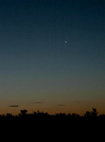 Venus in the dawn sky, photographed in 2012 (click for full-size image, 148 KB) (Copyright Martin J Powell 2012)