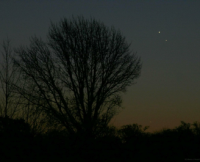 Jupiter and Venus in conjunction on the morning of November 13th 2017. Click for full-size image (Copyright Martin J Powell, 2017)
