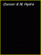 Photograph showing the constellation of Cancer and the Northern region of Hydra. Click for a full-size photo (Copyright Martin J Powell, 2005)