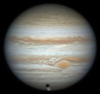 Jupiter with its moon Ganymede in transit, imaged by Michael Wong in November 2023. Click for a larger version (Image: Michael Wong/ALPO-Japan)