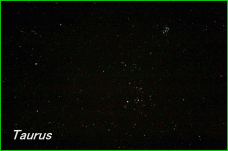 Photograph showing the constellation of Taurus. Click for a full-size photo (Copyright Martin J Powell, 2011)