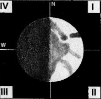 Venus at dichotomy sketched by Detlev Niechoy of Germany in March 2014 (click for full-size image, 14 KB) (Image: Detlev Niechoy/ALPO)