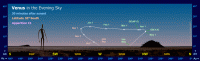 The Path of Venus in the Evening Sky (30 mins after sunset) for an observer at latitude 30° South during Apparition C1 (e.g. 2003/2004, 2011/2012 and 2019/2020). Click for full-size image, 113 KB (Copyright Martin J Powell, 2010)