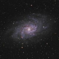 Messier 33 'Triangulum Galaxy' in the constellation of Triangulum. Click for larger version, 13 KB (Image: Hunter Wilson/Wikipedia)