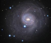 M77 Seyfert galaxy in Cetus (Image: Ken Crawford. Click for larger image, 7 KB [Rancho Del Sol Observatory]/NASA)