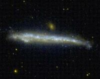 The Whale Galaxy (NGC 4631) in Canes Venatici. Click for larger version, 10 KB (Image: GALEX/NASA/Wikimedia Commons)