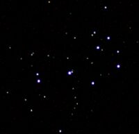 The Pleiades star cluster (M45) in Taurus. Click for larger image, 19 KB (Copyright Martin J Powell, 2005)